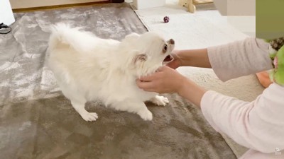 「遅いよ！寂しかったんだから！」