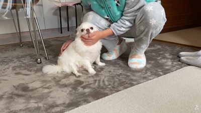 お姉ちゃんが起きると、少し元気に