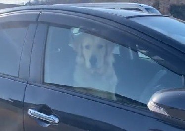 「そろそろ運転代わろうか」