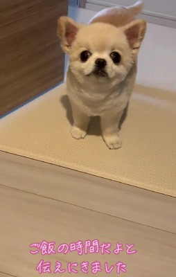 思わずキュン♡