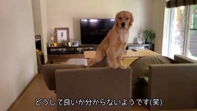 戸惑っています