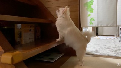 「ママ～！起きて～！」