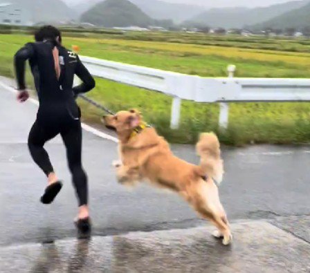 雨の日はテンション最高潮！！