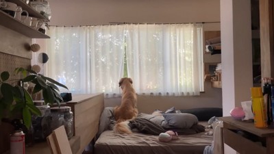 帰りを待つ姿に愛を感じます