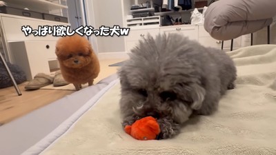 返してほしくてガン見（笑）
