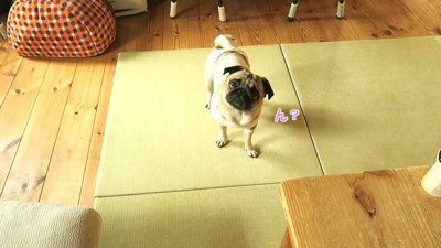 「行こうか」と声を掛けると…