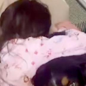 親に叱られ、落ち込んでしまった女の子→超大型犬が近づいて…頼もしすぎる『まさかの表情』が83万再生「訴えてるのよくわかる」「憧れる」