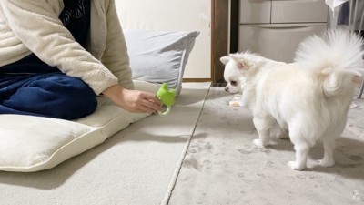 遊びに誘うパパさん