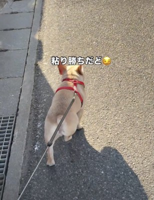 公園への切符をゲット