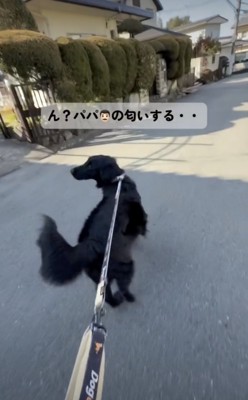 パパの匂いを感知!
