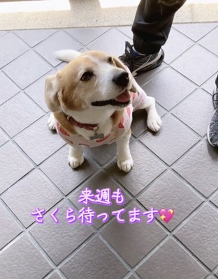 「絶対きてよねっ」