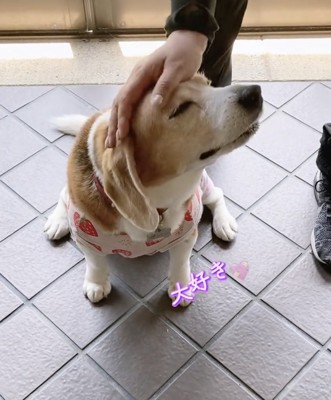 ウットリ…