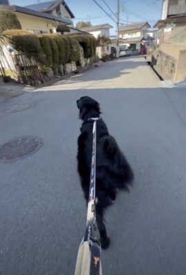 まさかの素通り