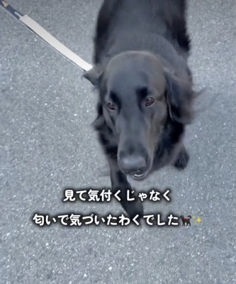 いつだって、帰りを待ってるよ