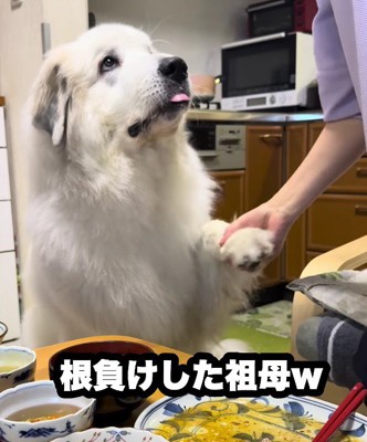 おばあちゃんが根負け