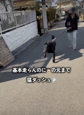 パパのカメラに映った猛ダッシュ
