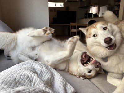 クセ