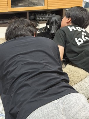 吸われる