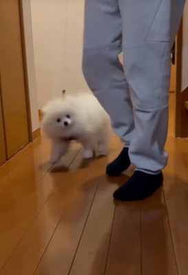 普通に歩いています！