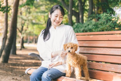 遠くを見つめるトイプードルと女性