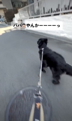 「なんでいるのーー!?」