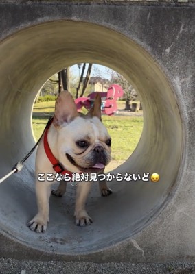 キラキラの笑顔で公園を満喫中