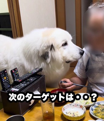 再び食卓へ
