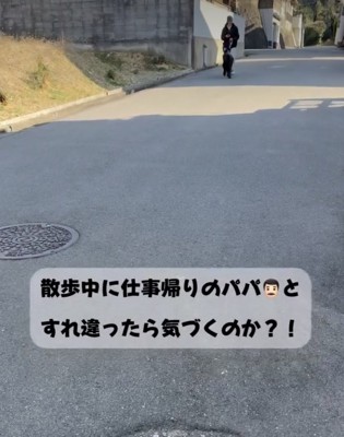 ママと散歩をエンジョイ中