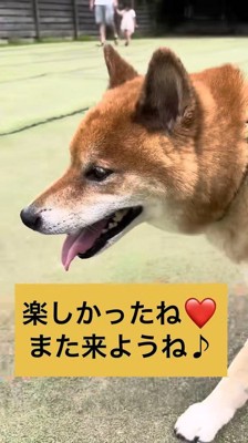 ご満悦の表情♡