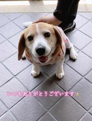 幸せいっぱいの空間が広がります