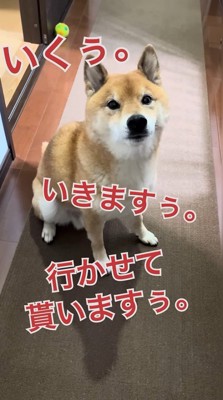 嬉しそうに鳴き続けて…