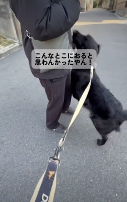 喜び大爆発!