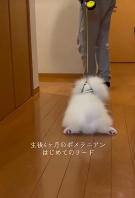 ほふく前進！