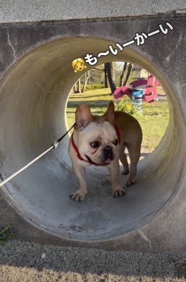 「もーいーど〜」