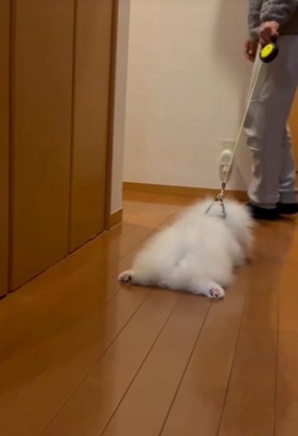 ズルズル…