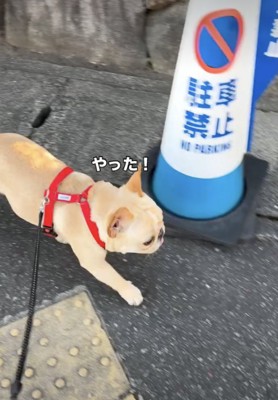 足取り軽快です