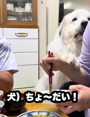「ちょっとだけ……」