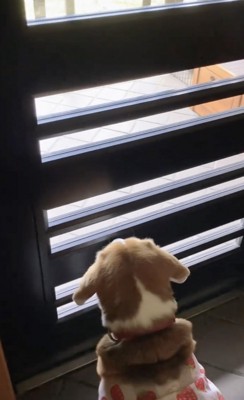 会いたい気持ちが滲み出てます