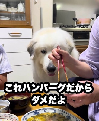 反則級の可愛さ