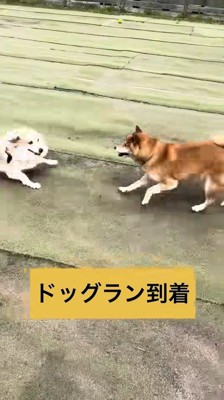 ウキウキで遊んでいます♪