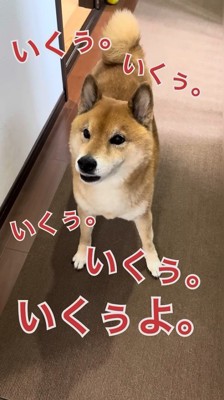 「行くぅ～っ」と鳴いてアピール