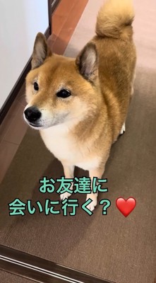 お目目キラキラ♪
