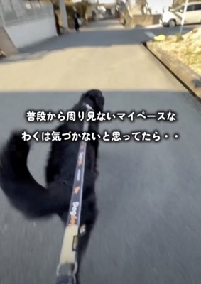 パパ、近くにいるよ!!