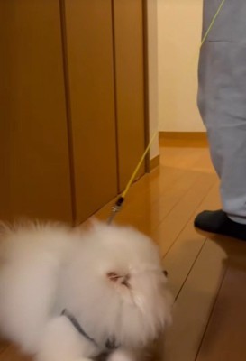 もう一度方向転換