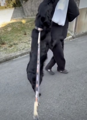 「おかえり!おかえりっ!」