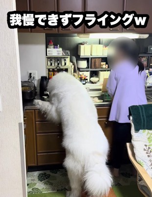 「まだかな?まだかな?」