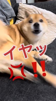 断られました！
