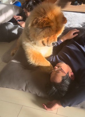 眠っている男性の顔に前足をつける犬