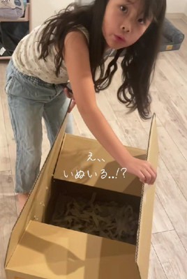 ダンボールを開けてみると…