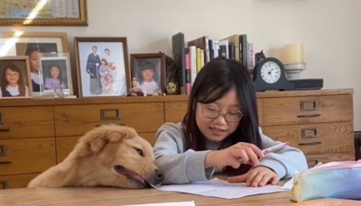 プリントの端を咥える犬